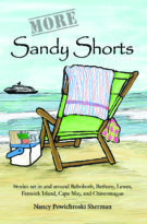 More Sandy Shorts: Delmarva beach reads